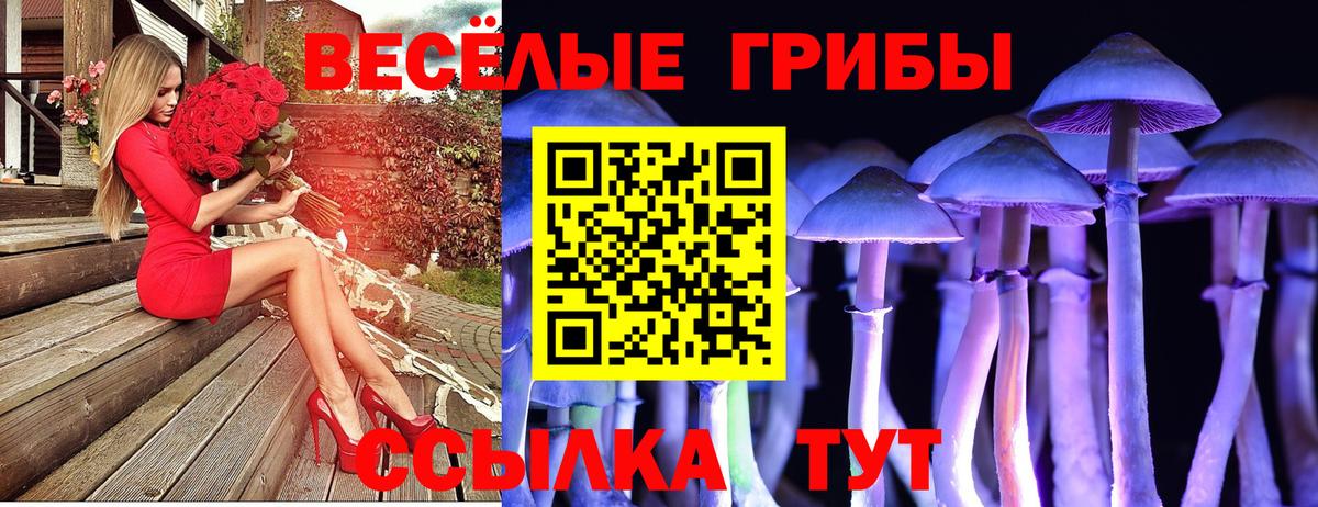 Свободный  Псилоцибиновые грибы Psilocybine cubensis  Вход с VPN 